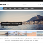 Function Woothemes